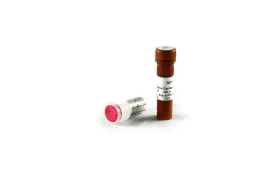 Inhibidor de proteasas ProteinSafe x 500µl