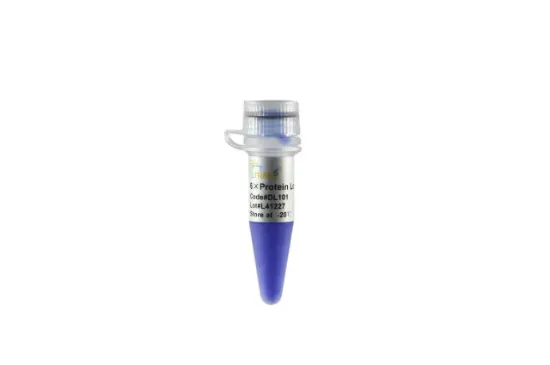6× Protein Loading Buffer 5×1 ml