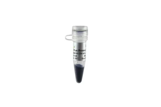 Blue Plus® Marcador de peso molecular de proteínas preteñidas (14-100 kDa)