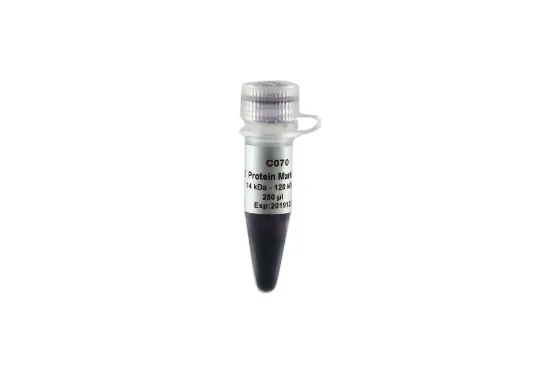 Blue Plus® II Marcador de peso molecular de proteínas preteñidas (14-120 kDa) x 250µl
