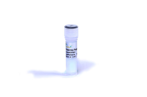 ProteinIso® resina de proteína A/G x 1ml