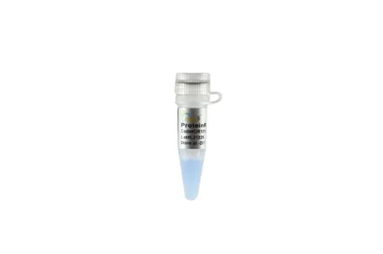 ProteinRuler® I (12-80 kDa) Marcador de peso molecular de proteínas preteñidas x 250µl