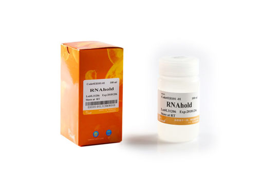 RNAhold, Inhibidor de RNAsas x 100ml