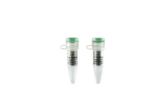 T4 DNA ligasa x 10000 unidades