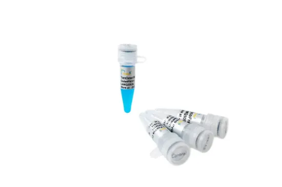 TransDetect® PCR, kit de detección de micoplasma x 100 reacciones