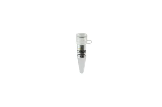 Proteinasa K x 1ml