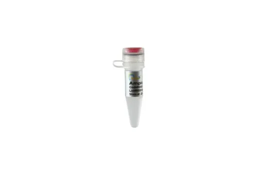 Ampicilina x 1ml
