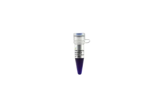 Loading buffer 6X x 5 viales x 1ml