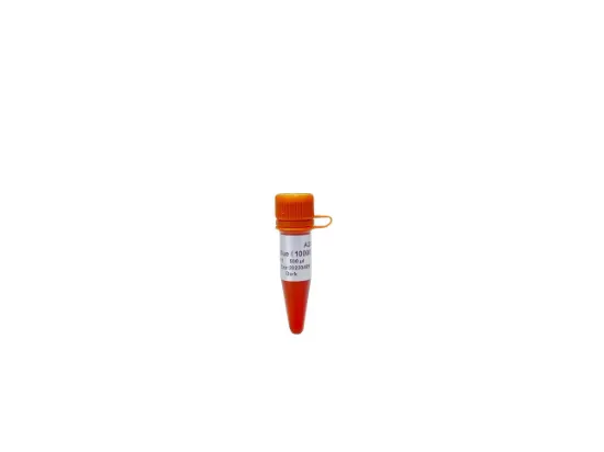 Gelstain, colorante fluorescente verde seguro de ácidos nucleicos x 500µl
