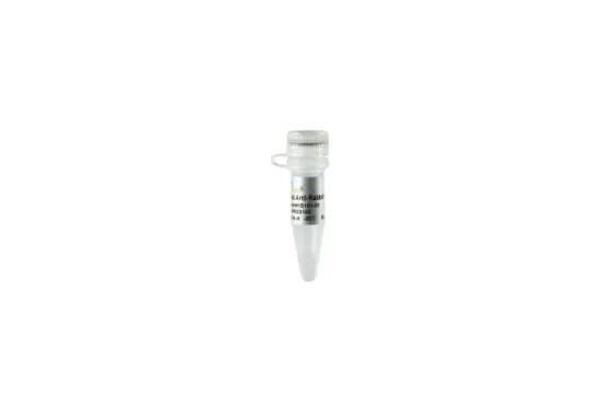 ProteinFind® IgG de cabra anti-conejo (H+L), conjugado con HRP, 100 µl.