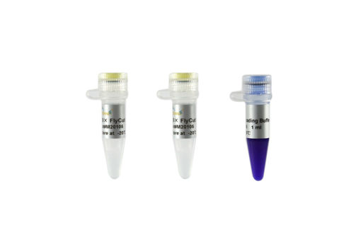 FlyCut® EcoRI, enzima de restricción x 5000u