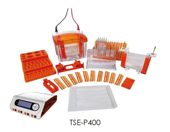 Cuba de electroforesis vertical TSE-P400