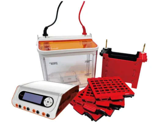 Sistema de transferencia para Western blot mini TST-400