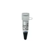 Blue Plus® VI Marcador de Proteínas (10-250 kDa) 250 µl