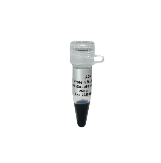 Blue Plus® VI Marcador de Proteínas (10-250 kDa) 250 µl
