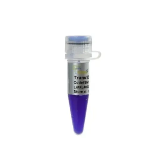 Trans15K Marcador de ADN 500 µl