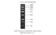 Trans15K Marcador de ADN 500 µl