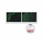 Lavadora de microplacas Agilent BioTek 405 TS